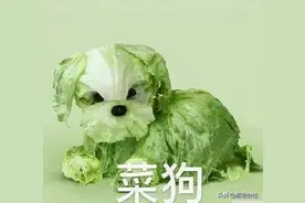 大葱面包皆可艺术，家庭主妇心目中的柴米油盐居然如此美妙图片