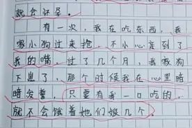 小学生作文《怀孕》太逗了，抢着负责任！网友：比郑爽和华晨宇强图片
