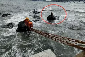 事发大连！一女子赶海遇巨浪被困礁石，消防员海中搭“生命桥”营救图片