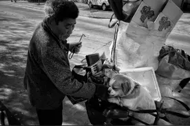 拾荒老人与狗温情相伴，穿街过巷七载风霜，买个馒头各吃一半图片