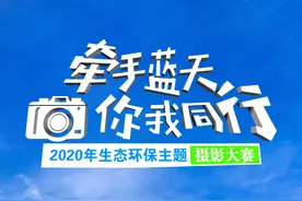 快来围观！“2020年醉美一夏”获奖摄影作品展示图片
