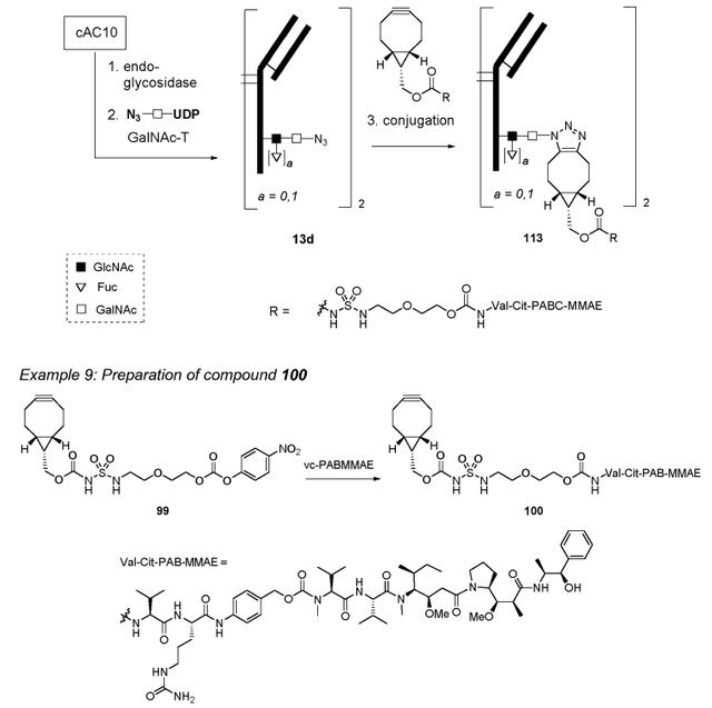 多项授权合作，Synaffix公司ADC专利技术解析