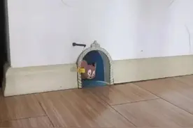 咦，怎么有点眼熟！这是有多喜欢猫和老鼠～图片