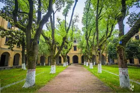 浙江嘉兴有一处小众旅游地，鲜有游客，却是拍写真的好地方图片