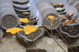 有底气的人，往往更硬气，主要表现在三个方面图片