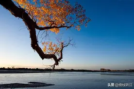 听风，听雨，听秋声图片