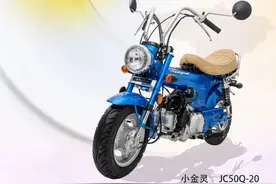 祖国版长颈鹿，金城小金灵50售价8980元图片