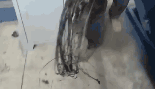 2025年11月25日 第3页