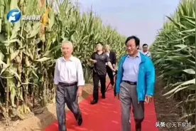 院士玉米地走“红毯”？主办方回应：因下雨路面泥泞 为可降解纤维材料，非网传红毯图片