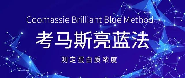 考马斯亮蓝法测定蛋白质浓度