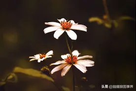 构图法则有那么重要吗？若忘了这5点内容，你的照片依然是废片图片