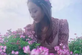 桂林这里也有一大片紫云英竞相开放！不是青狮潭公平湖哦图片