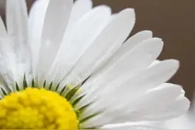 妻子认为找到真爱要离婚，丈夫没有挽留，半年后妻子哭着要复婚图片