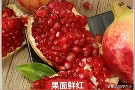 突尼斯软籽石榴图片