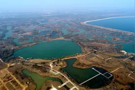济西湿地扩建 构建城市生态发展新空间图片