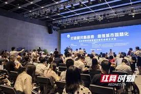 新型智慧城市怎么建？长沙今天组建了超强“智囊团”图片