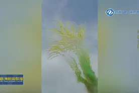 “稻”念袁隆平 株洲醴陵“80后”小伙让稻穗烟花绽放天空图片