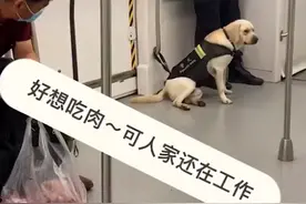 看给孩子馋的！江苏一警犬地铁上紧盯乘客的肉，默默爬上前闻味道图片