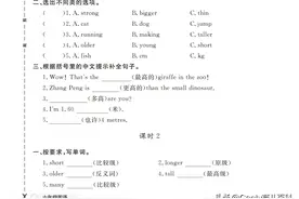 人教版六年级英语下册作业本图片