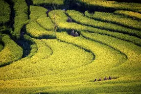10月1日起将实行土地归并？每亩补9万？真实吗？图片