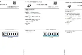 车牌也要换代了？这也太好看了吧图片