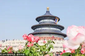 专访北京市天坛公园园长李高：到2030年，完整的天坛将会呈现在世人面前图片