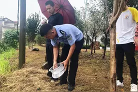 这只罕见的“大甲虫”惊动了民警图片