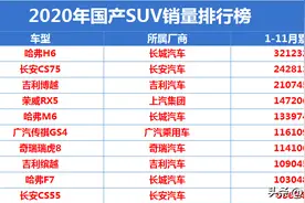 2020年国产SUV销量最新排名：前十差距太大，瑞虎8破十万图片