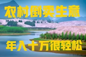 农村倒卖什么东西能赚钱？这里有你想要的答案，很真实图片