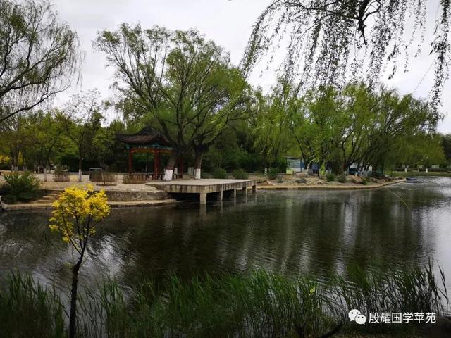 【固阳县】【【殷耀国学】乡土成语妙趣多】