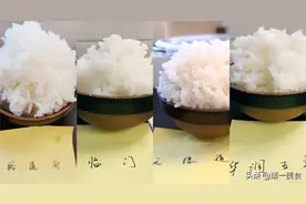 五常大米四大品牌深度评测，新秀品牌天缘道表现如何图片