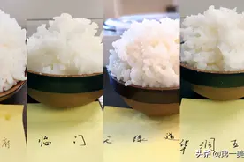 五常大米四大品牌深度评测，新秀品牌天缘道表现如何图片
