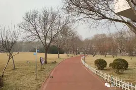 人才征婚  2020.01.30图片
