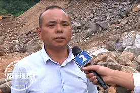 为采矿砍伐大片山林，国家二级保护植物也遭殃！村民：太可惜了图片