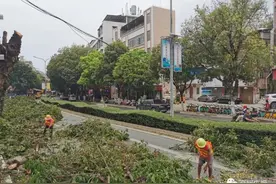 投资约3千万，高州城区这条路将迎来大改造图片