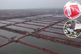 警惕“白菜价“淡干海参，如何鉴别海参好坏？记住这几点，才能不上当！图片