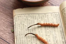 上火也分4种类型，清代名医一个方子，五味药材，引火归元图片