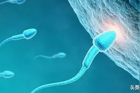 哪些食物可提高精子质量？图片