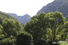 河北有个长寿村，全村人均寿命85岁，80岁只能算“小老弟”图片