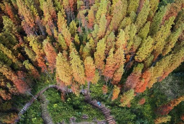 只有10%广东人才知道的粤北“云海天池红叶”，让人一眼沦陷