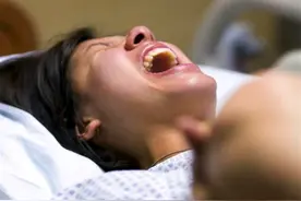 为什么动物生育后代那么轻松，人类分娩时却疼得撕心裂肺？图片