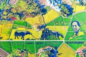 种粮大户补贴每亩230元 重庆耕地地力保护和种粮大户补贴有序开展图片