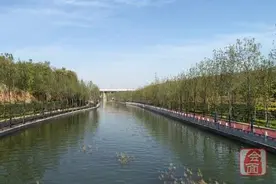 水润绿城　贾鲁河公园春光迤逦图片