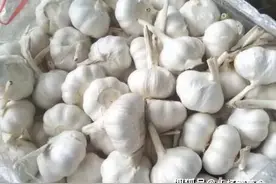 现在才明白“鱼不蒜，牛不韭，羊不姜”是啥意思，早知道早受益图片