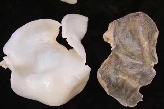 蝴蝶花胶图片 2026年蝴蝶花胶图片高清大图 蝴蝶花胶图片 2026年蝴蝶花胶图片高清大图