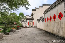 农村俗语：“房屋若在大树下，孤寡人丁财运差”，为啥这样说？图片