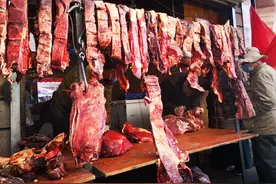 拉萨将投放惠民牦牛肉，4个固定点位每天至少共计投放2000斤图片