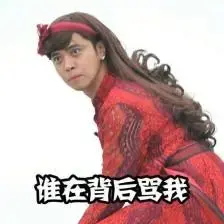 小阴唇鸡皮疙瘩一样