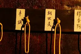 清朝为什么没有锦衣卫？最大特务机构是粘杆处？答案出乎预料图片