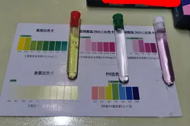 鱼缸里硝酸盐过高怎么解决图片